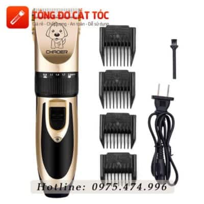 tong-cat-long-cho-poodle-2