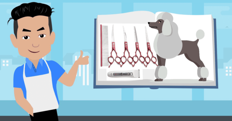cắt tỉa lông Poodle tại nhà