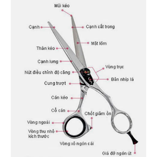 cách chọn kéo cắt tóc