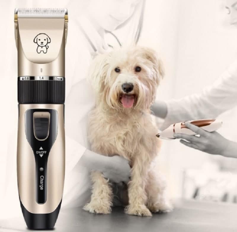 tông đơ cắt lông chó Poodle