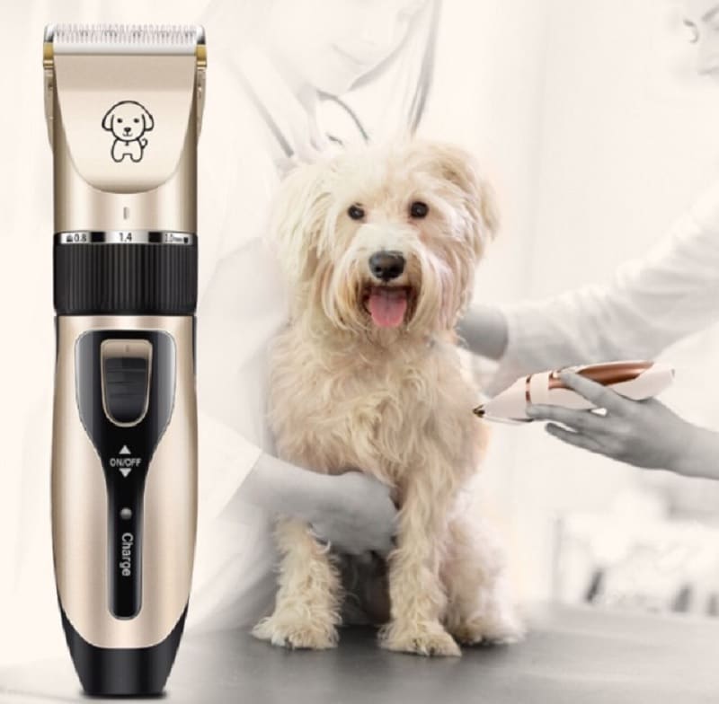 Những Điều Cần Biết Về Tông Đơ Chó Mèo 40 Tông Đơ Cho Chó Mèo