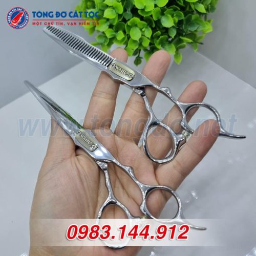 Bộ kéo cắt tỉa wahl trắng mũi giáo – W04