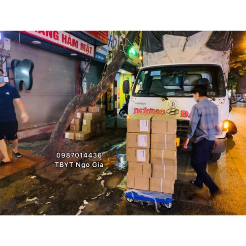 Máy Tạo Oxy Hidgeem 2021