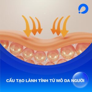 Tấm độn sinh học megaderm giá bao nhiêu