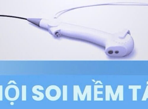 Ống Nội Soi Mềm Tán Sỏi Nội Soi Chất Lượng Cao Scivita