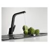 Vòi rửa Teka Sink faucet IC 915 Black 1 Vòi rửa Teka Sink faucet IC 915 Black