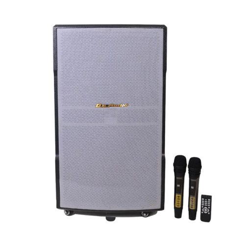Loa Kéo BN Audio BA 850 V