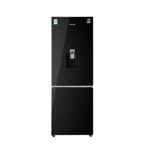 Tủ lạnh Samsung Inverter 307 lít RB30N4190BU/SV
