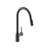 Vòi rửa bát Nobinox MANIA NB308G 2 Vòi rửa bát Nobinox MANIA NB308G