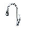 voi rua bat henry hr v845