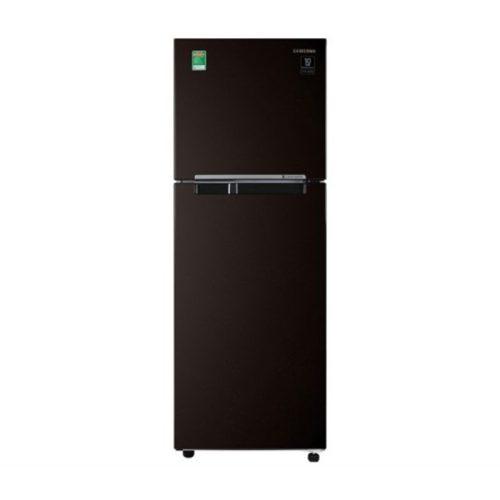 Tủ lạnh Samsung Inverter 236 lít RT22M4032BY/SV
