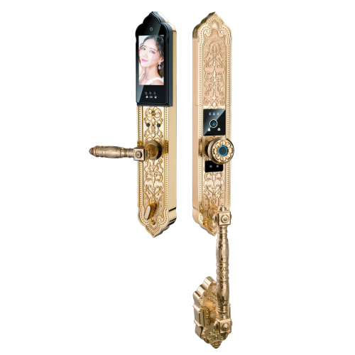Khóa điện tử Hubert HB DS79F Gold
