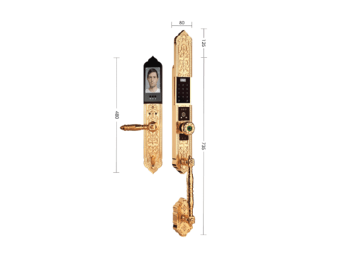 Khóa Đại Sảnh Biệt Thự Mạ Vàng 24K Demax EL938 GOLD APP WIFI