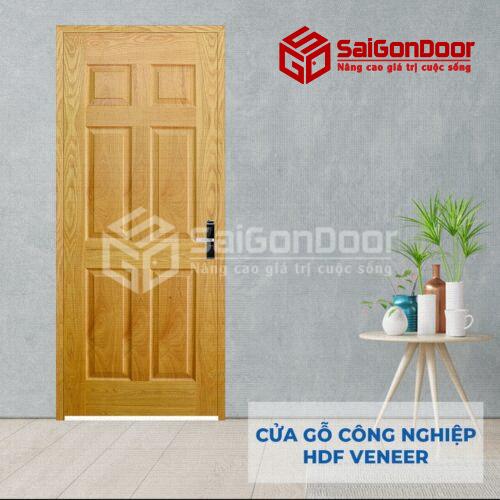 Cửa gỗ HDF Veneer 6A-ash (2)
