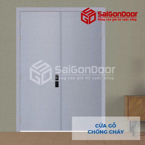 Cửa gỗ chống cháy 2P son xam