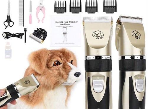 Tông Đơ Cắt Tóc Cho Thú Cưng - Giải Pháp Lý Tưởng Cho Bạn Và Pet Yêu 13 - tong do thu cung