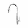 Vòi rửa bát Hafele HT21-CH1P245 577.55.220