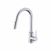 Vòi rửa bát Hafele HT21-CH1P287 577.55.230