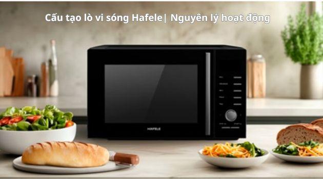 Cấu tạo lò vi sóng Hafele| Nguyên lý hoạt động 1 Cấu tạo lò vi sóng Hafele_ Nguyên lý hoạt động