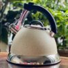 Ấm đun nước tráng men kết hợp inox Faster 3L 1 faster 3l 1