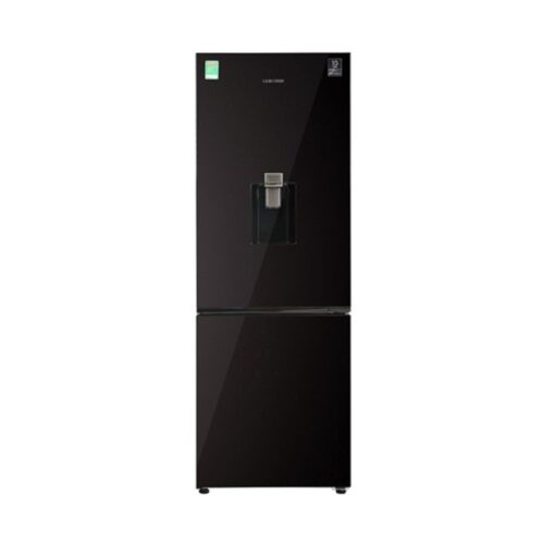 Tủ lạnh Samsung Inverter 307 lít RB30N4190BY/SV