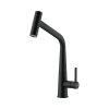 Vòi rửa bát Franke 115.0625.190 Black Matt 2 voi rua bat franke 115 0625 190 black matt
