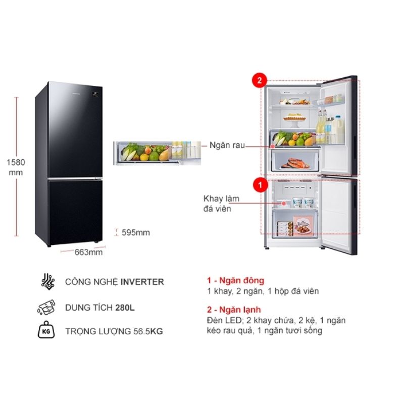 Tủ Lạnh 2 cánh Inverter 280 Lít Samsung RB27N4010BU/SV 7 Kích thước tủ Lạnh 2 cánh Inverter 280 Lít Samsung RB27N4010BU