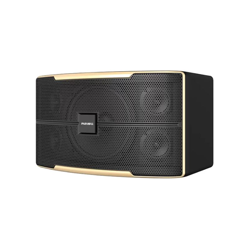 Loa Karaoke 10 Inches Paramax Z-1500 4 Ảnh loa Karaoke 10 Inches Paramax Z-1500