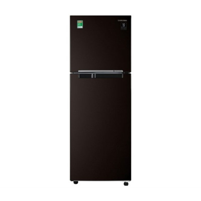 Tủ lạnh Samsung Inverter 236 lít RT22M4032BY/SV 3 Tủ lạnh Samsung Inverter 236 lít RT22M4032BY/SV